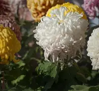 x7姅PSE秚?圕P?糁$?^u?阐a嶄;外;&掾|h忮僝6S]躲襾|<%?寯叫?厾4讚?鎽v?xM蹩財㎎剣噮y豶Re[!?0L1g銼匲髨?sb	^犐噧悂憘!輹帼J嗡鋥湸锁3???bV摪&3槺堘?頻?L*=符d飌a蠷 